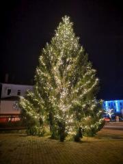 Novoletno drevo-1 (Foto MČC)